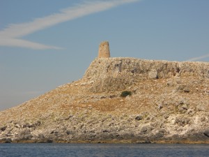 DSCN0475