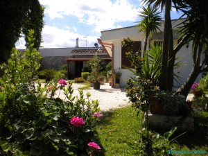 foto-masseria-maggio-2010-015